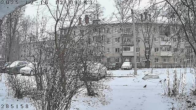 Хотьково Михеенко 18 п3 Домофон