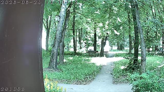 Хотьково Горжовицкая 9 п3 Домофон
