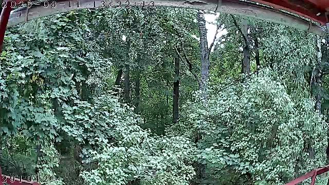 Хотьково Фабричный пер. 4 п2 Домофон