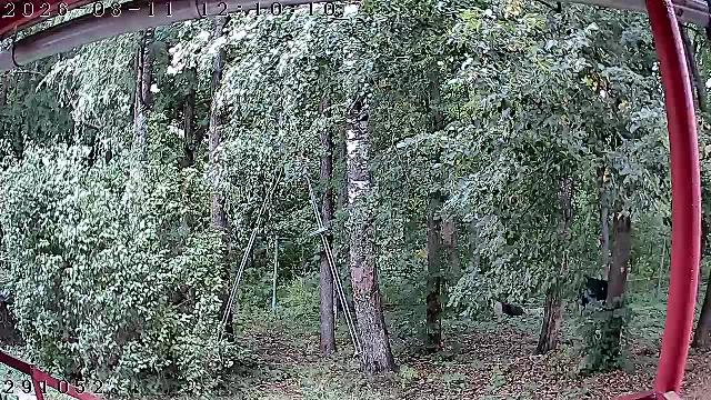 Хотьково Фабричный пер. 4 п1 Домофон